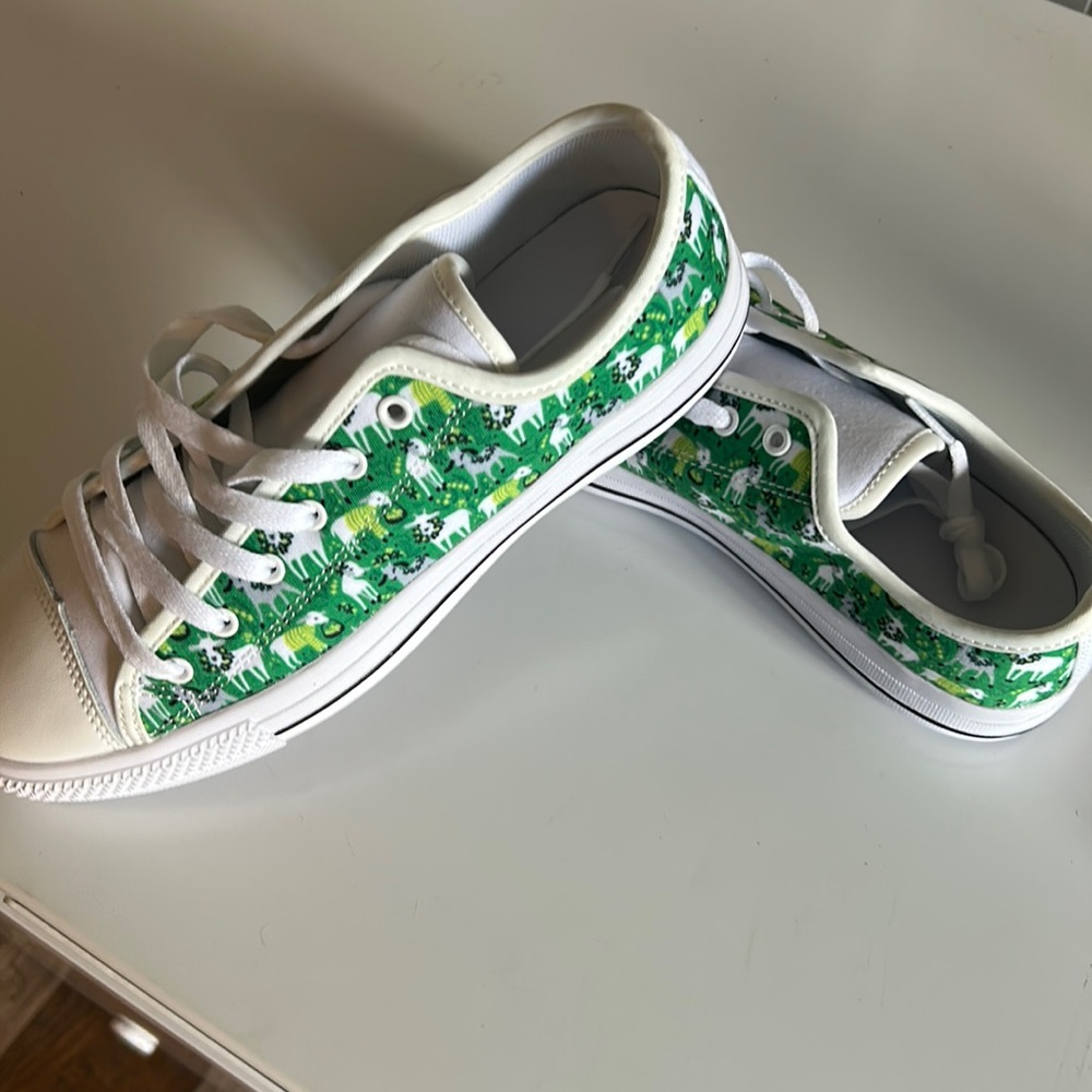 Brand new never worn shoes